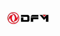 DFM